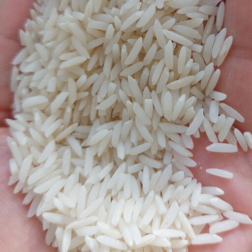 برنج طارم هاشمی.خوش عطرو و پخت،کشت شده از شالیزارهای شمال کشور  20کیلویی
