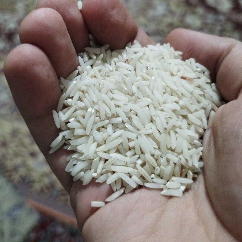 برنج هاشمی دانه درشت کشت امسال خوش پخت کیفیت عالی (10کیلو گرمی )