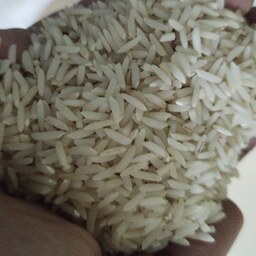 برنج طارم دانه درشت کشت امسال خوش پخت کیفیت عالی (30کیلو گرمی )