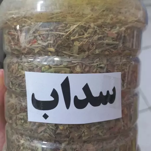 گیاه سداب 100 گرمی