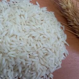 برنج طارم استخوانی ( 10 کیلویی ) ارسال رایگان 