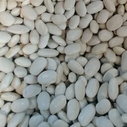 لوبیای سفید، اعلاء، پاک شده و به شرط پخت (دادلی آذربایجان) 