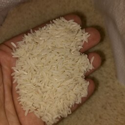 برنج طارم هاشمی(دو مرحله سورت شده)در بسته های 20 کیلویی مازندران بابل