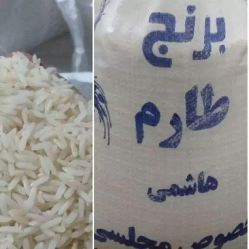 برنج طارم محلی استان گلستان