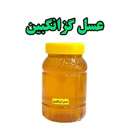 عسل گزانگبین طبیعی خالص (ساکارز زیر یک درصد)