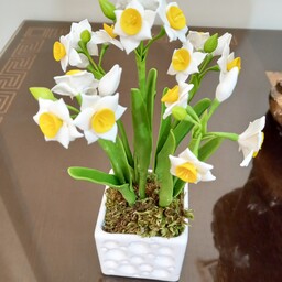 گل نرگس هر شاخه سه گل یک غنچه سبز یک غنچه سفید طرح گلدان به صورت رندوم ارسال میشود در هر گلدان 5 شاخه گل 