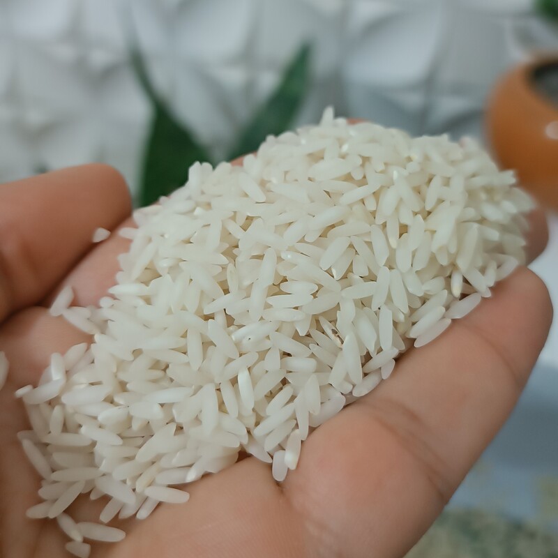 برنج طارم عطری فریدونکنار  کشت اول 20 کیلویی
