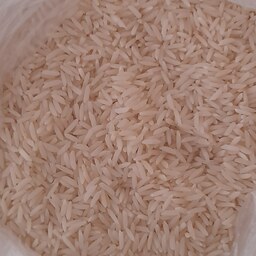 برنج هاشمی گیلان از کشاورز به دست مصرف کننده خواهد رسید