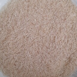 برنج شیرودی گیلان با قیمت مناسب از کشاورز به سفره های شما