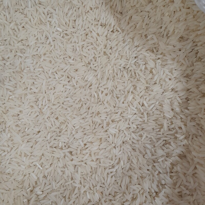 برنج صدری گیلان به صورت مستیم از کشاورز به دست شما میرسد