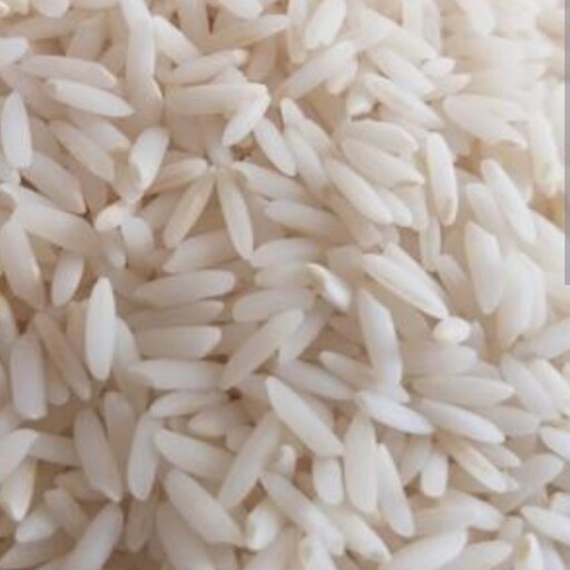 برنج علی کاظمی شفت 20 کیلویی به شرط پخت و طعم عالی