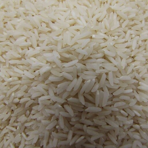برنج هاشمی امساله در بسته های 5 کیلویی به شرط پخت و طعم عالی
