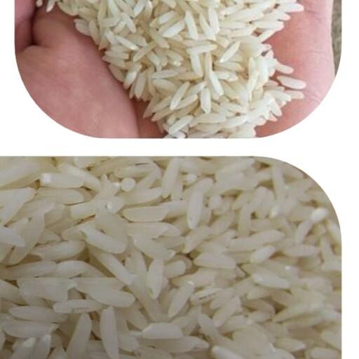 برنج هاشمی 20 کیلویی برای پخت مطمعن  و ری عالی محصول مزارع شفت 