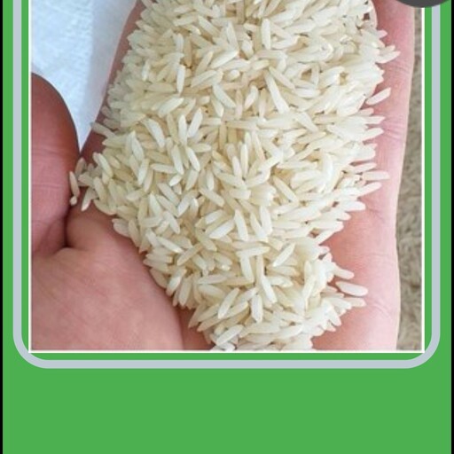 برنج هاشمی امساله محصول منطقه شفت  15 کیلویی به شرط پخت و طعم عالی