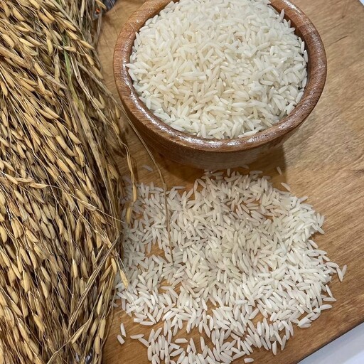 برنج هاشمی  درجه 1 گیلان(1کیلو)