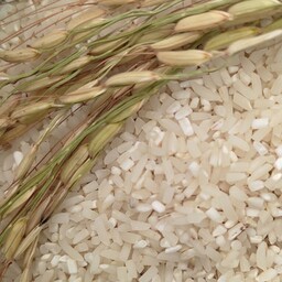 برنج شکسته هاشمی