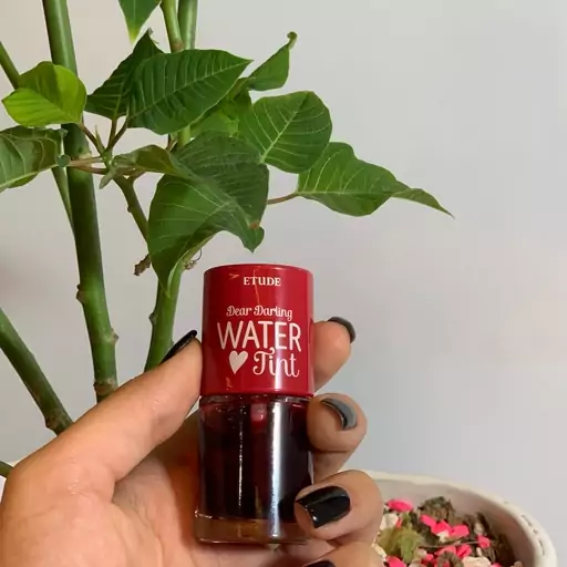 تینت لب مایع اتود هاوس مدل Water Tint اصلی