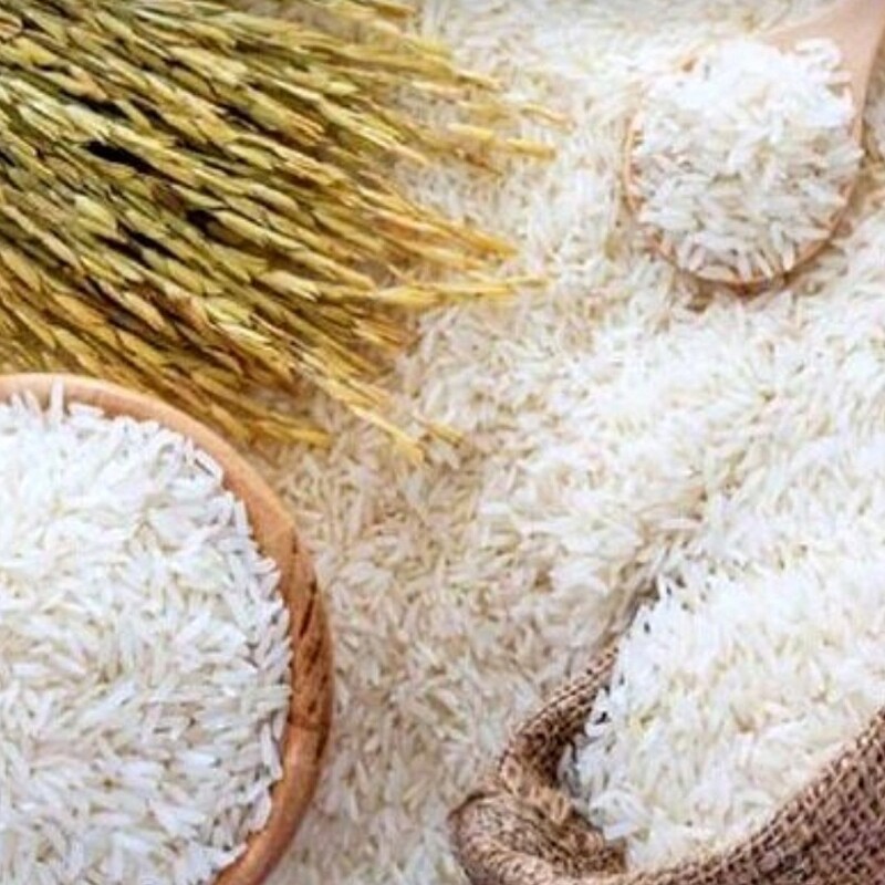 برنج هاشمی آستانه ارگانیک یک کیلویی محصول شالیزار خودم خوش پخت کاملا تضمینی دوبار سورت شده و الک خورده