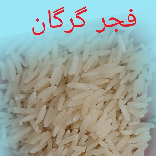 برنج طارم فجر 10 کیلویی  معطر  آرکا