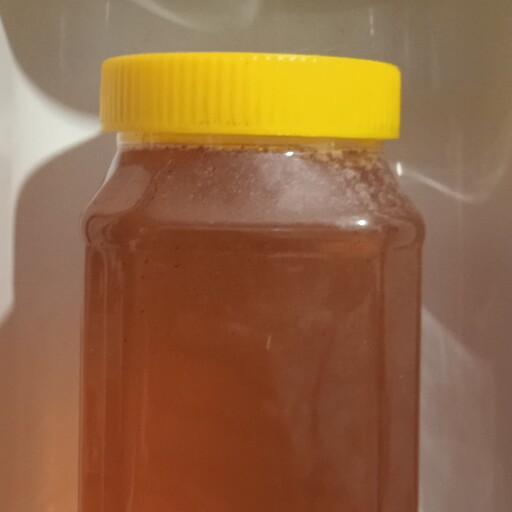 عسل نیمه تغذیه  یک کیلو گرمی