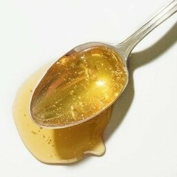 عسل صبحانه  کاملا طبیعی (وزن یک کیلوگرم)محصول زنبورستان پاز