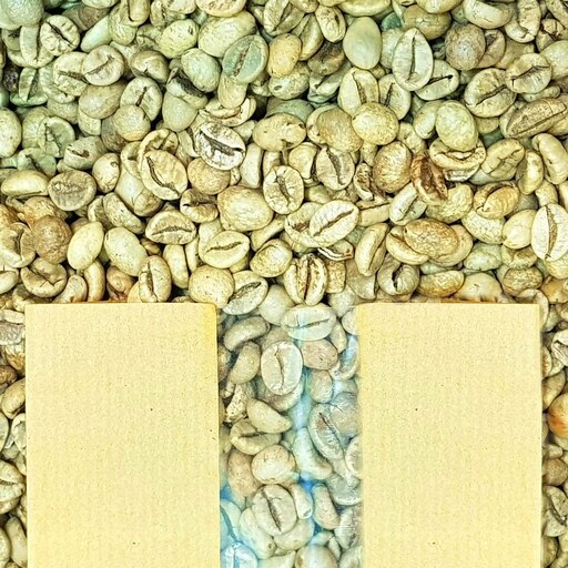دانه قهوه سبز رژیمی روحبخش 1 کیلوگرم
