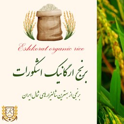برنج ارگانیک درجه یک ایرانی با وزن 2500 گرمی اشکورات 