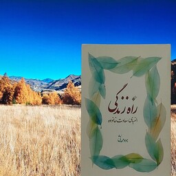 راه زندگی الفبای سعادت خانواده نوشته جواد محدثی دفتر نشر فرهنگ اسلامی