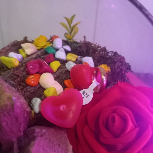 جا حلقه عروس وداماد به دل خواه  بادنور پردازی  رنگ های مختلف گل ها    