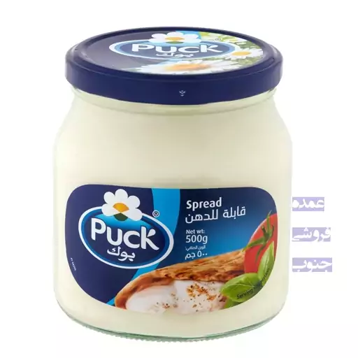 پنیر خامه ای بوک puck 500 گرمی