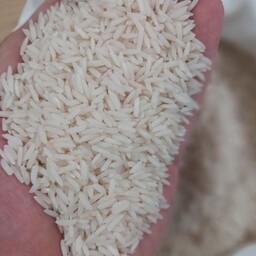 برنج هاشمی علاء گیلان 10 کیلویی