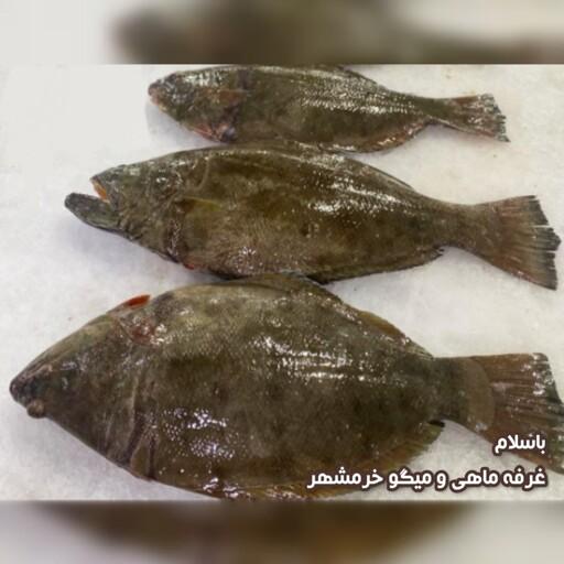 ماهی کفشک تازه صید روز (پک یک کیلویی)بسیار خوشمزه و مناسب برای سرخ کردن