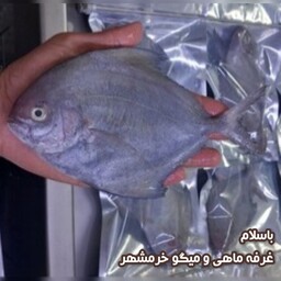 ماهی حلوا سیاه سایز متوسط تازه و صید روز (پک  یک کیلویی)بسیار خوشمزه و لذیذ مناسب برای سرخ کردن