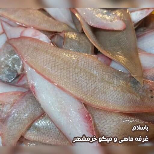 ماهی زبان تازه صید روز (پک یک کیلویی)بسیار لذیذ مناسب برای سرخ کردن