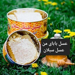 عسل طبیعی بهاره سبلان (1کیلویی)                                                                                         