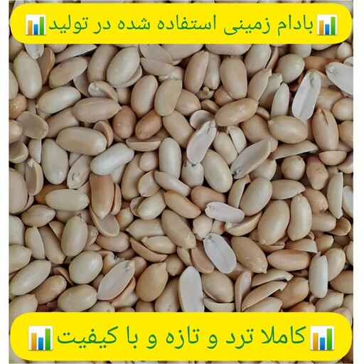 کره بادام زمینی ارگانیک آستانه بدون افزودنی(کیلویی)