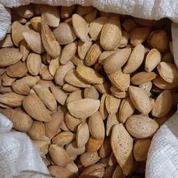 بادام سنگی (1000گرمی)درجه یک بیرجند بسیار  خوشمزه و شیرین و خوش طعم (درهم )