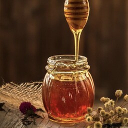 عسل طبیعی شوید نیم کیلو