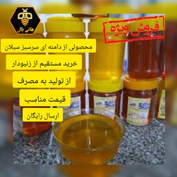 عسل طبیعی چهل گیاه هانی بال(1کیلو گرم) ارسال رایگان و فوری (مستقیم از خود زنبوردار )