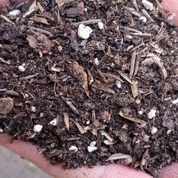خاک برگ  ترکیبی 4لیتری سبک  استریل وغنی شده ویژه انواع گیاهان اپارتمانی