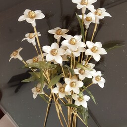 گل کریستال سفید