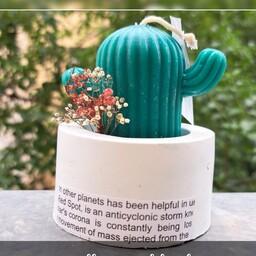 شمع زیبای گلدان کاکتوس مناسب برای هدیه و دیزاین قابل استفاده حتی برای مدیتیشن