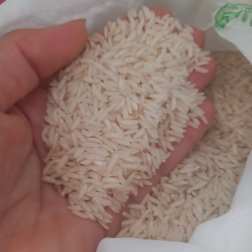 برنج طارم هاشمی اصل  کشت یک امسال خریدمستقیم ازکشاورز  ده کیلویی