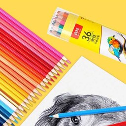 پک لوله ای 36 عددی مداد رنگی حرفه ای برای طراحی و رنگ آمیزی برند دلی DELI 