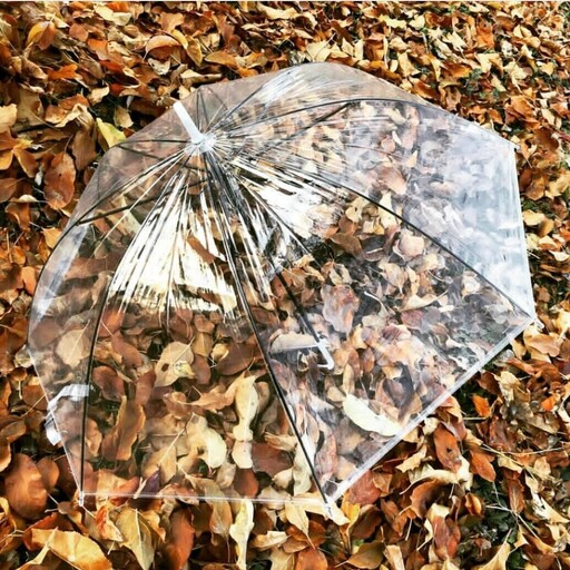 چتر شیشه ای اعلا ، چترشفاف مخصوص عکاسی و کلیپ فرمالیته و عکس های فانتزی و بارون و . 8پرمقاوم و با کیفیت و عصایی چتر شفاف