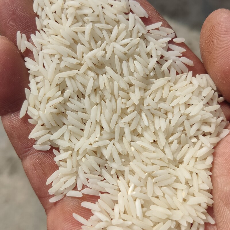برنج هاشمی فریدونکارخوش عطرخوش پخت قیمت مناسب بدون واسطه رنگ سفیدبعدپخت  