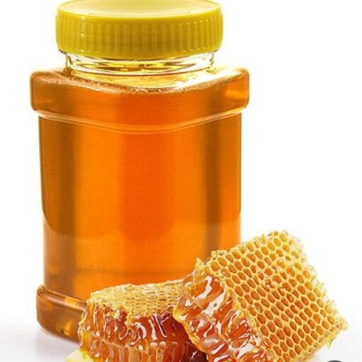 عسل کنار درجه یک تهیه شده از بهترین کندوهای زنبور عسل در استان فارس 