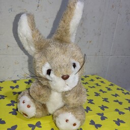 خرگوش عروسک خرگوش عروسک طبیعی عروسک خارجی عروسک ارزان عروسک خاص 