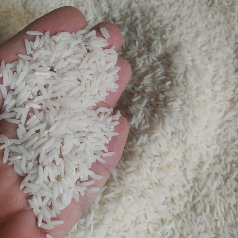 برنج هاشمی درجه 1