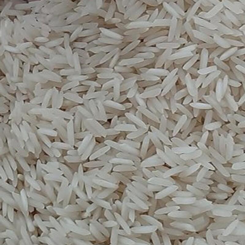 برنج طارم شیرودی امساله با کیفیت عالی وخالص صدرصد ایرانی10کیلویی